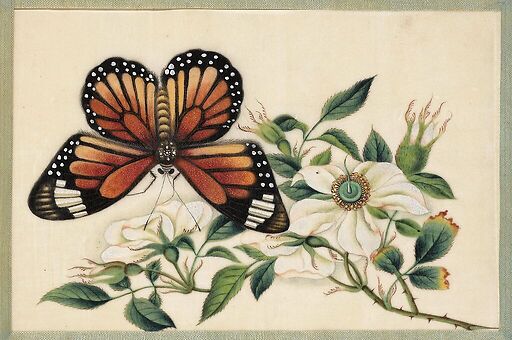 Page d'un album de peinture d’exportation figurant des décors de fleurs et oiseaux