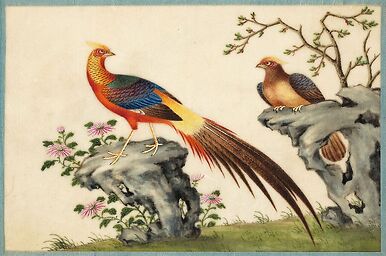 Page d'un album de peinture d’exportation figurant des décors de fleurs et oiseaux