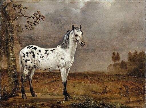 The Piebald Horse