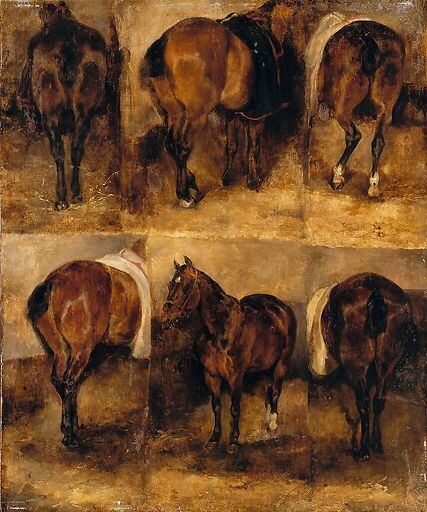 Etudes de chevaux