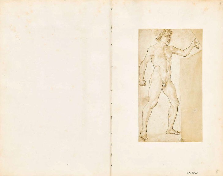 L'album des Disegni di Antonio Pallaiuolo