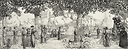 Elysian fields