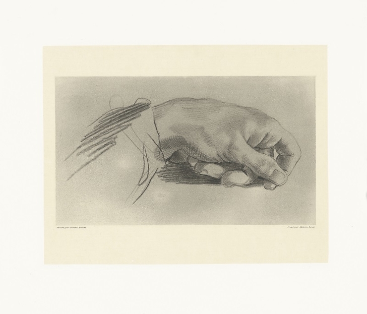 Study of a hand