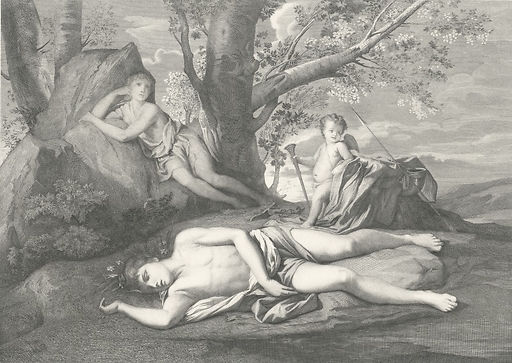 Echo and Narcissus or the death of Narcissus