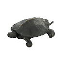 Tortue Barye - Bronze