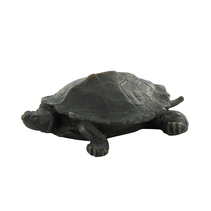 Turtle Barye - Bronze