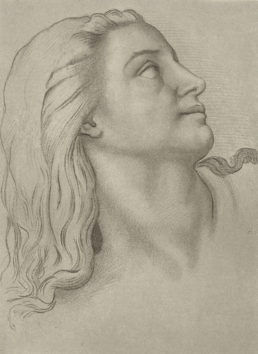 Tête de femme