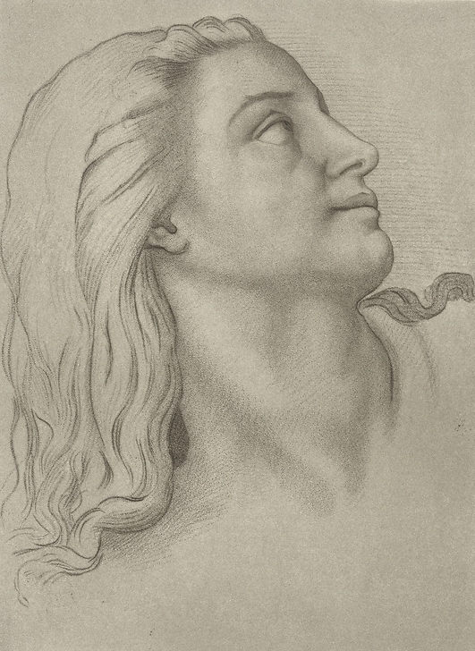 Tête de femme