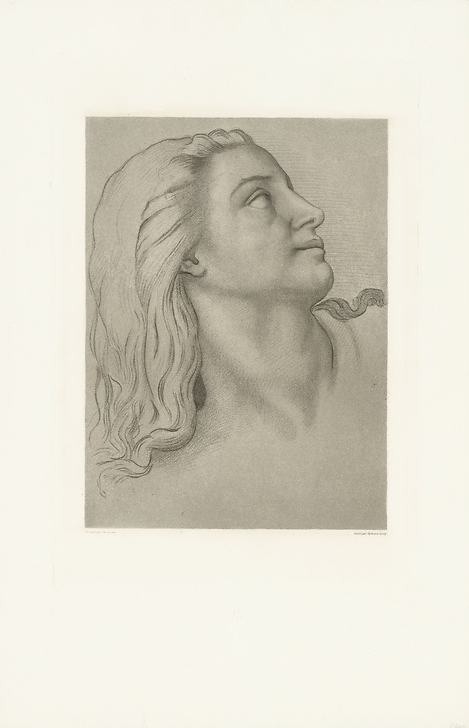 Woman's head