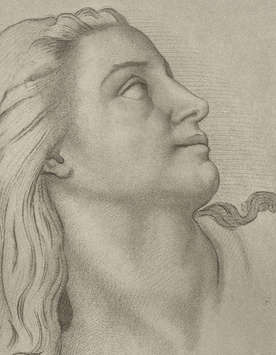 Tête de femme