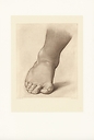 Study for the right foot of the "Saint John the Baptist in the Desert