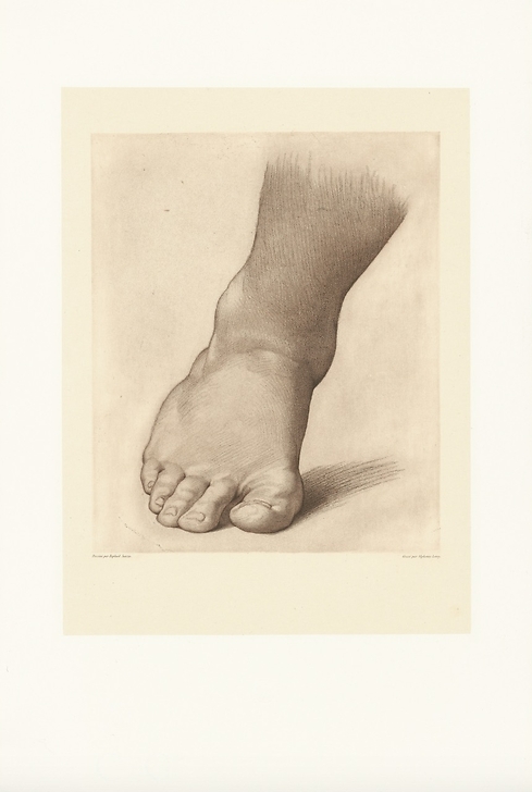 Study for the right foot of the "Saint John the Baptist in the Desert