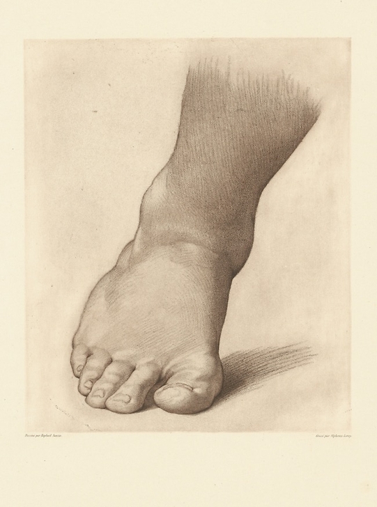 Study for the right foot of the "Saint John the Baptist in the Desert