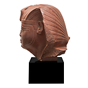 Head of King Amenhetep II