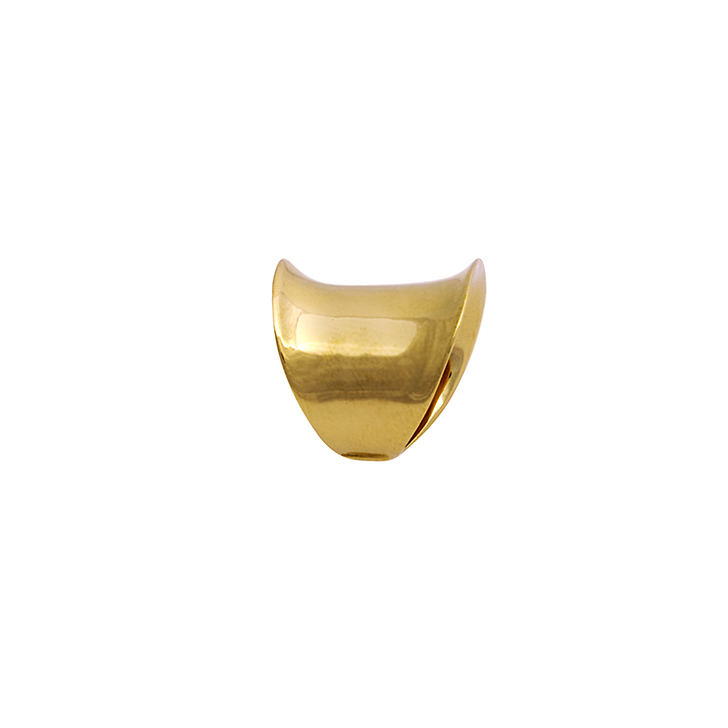 Ring of Susa - Gold-plated