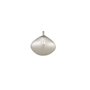 Pendant Egyptian Shell - Silver 925