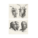 Engraving Two goat heads