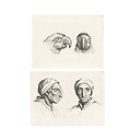 Engraving Two heads of parrots and two heads of men