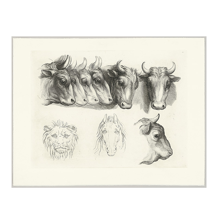 Engraving Heads of Oxen, Lion and Horse