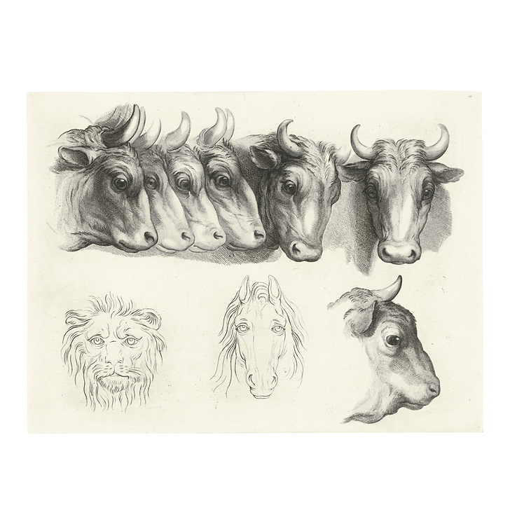 Engraving Heads of Oxen, Lion and Horse