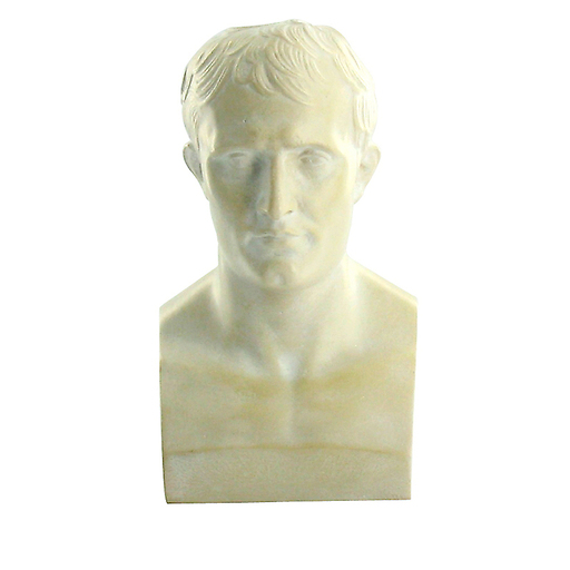 Bust of Napoleon Ist