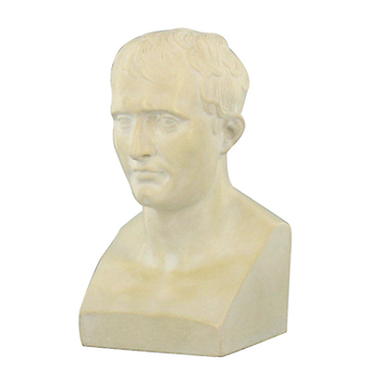 Bust of Napoleon Ist