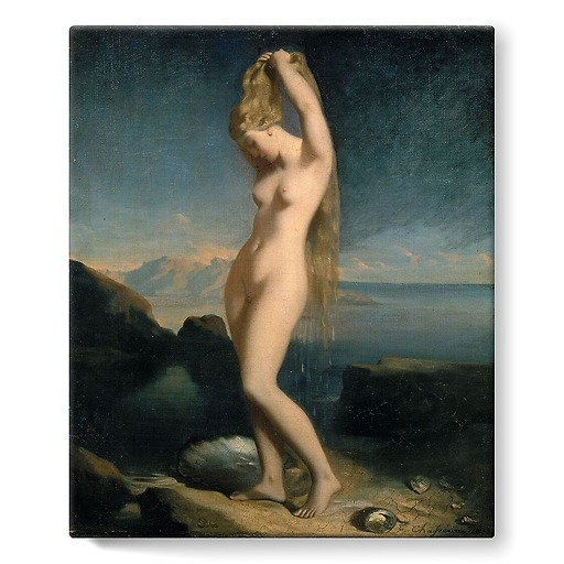 Anadyomena Venus known as Marine Venus (stretched canvas)