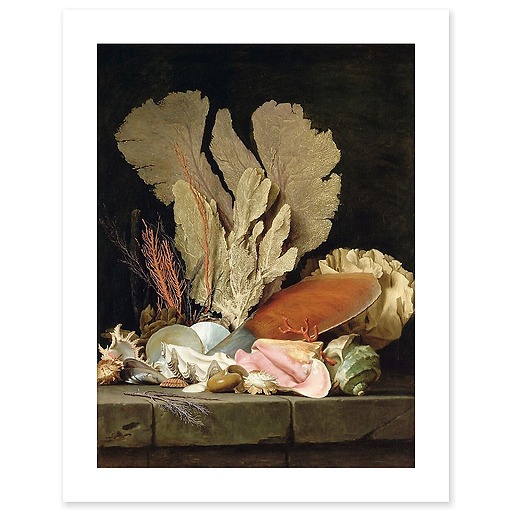 Nature morte avec panache de mer, coquillages et lithophytes (affiches d'art)