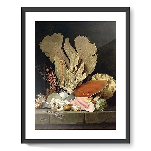 Nature morte avec panache de mer, coquillages et lithophytes (affiches d'art encadrées)