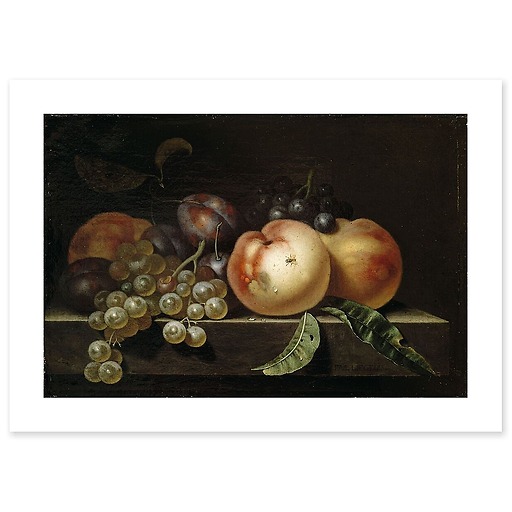 Peach, plums and grapes (canvas without frame)