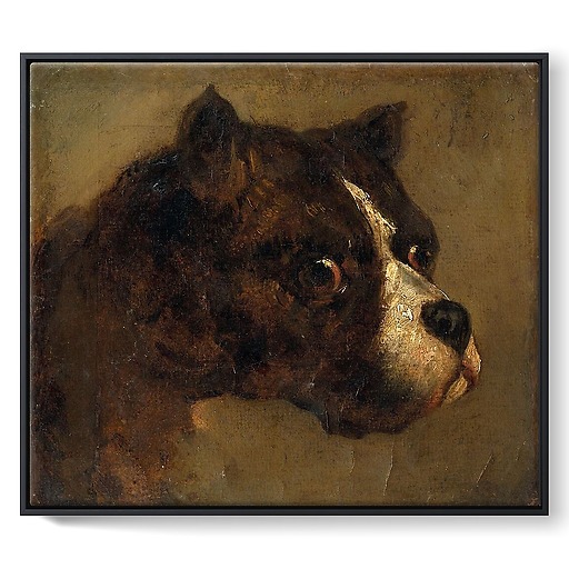 Tête de Bouledogue (toiles encadrées)