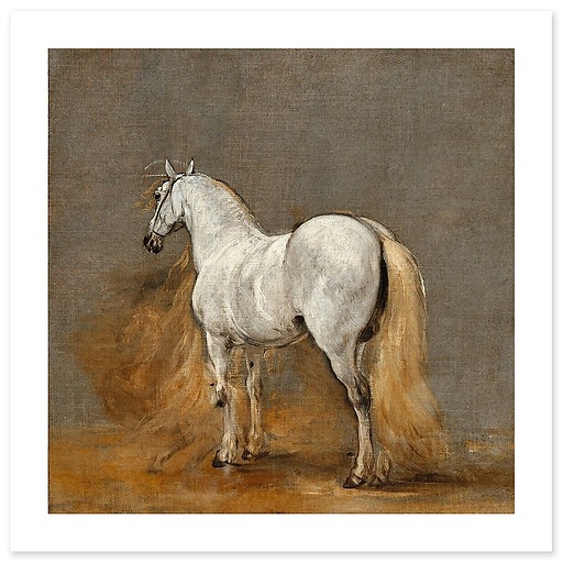 Cheval blanc. Etude (affiches d'art)