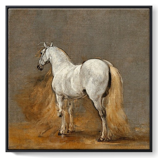 Cheval blanc. Etude (toiles encadrées)