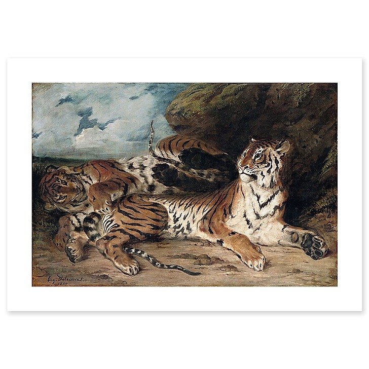 Study of two tigers, also known as Young Tiger playing with his