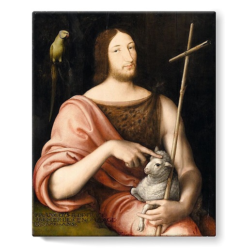 Saint Jean Baptiste sous les traits de François Ier. Inscription apocryphe en majuscules et reprise en bas à gauche : FRANÇOYS R* DE *FRANCE* PREMIER DE CE NOM AGE DE XXIIII ANS (stretched canvas)