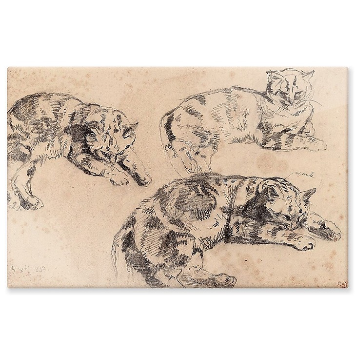 Three Studies of Cats (aluminium panels)