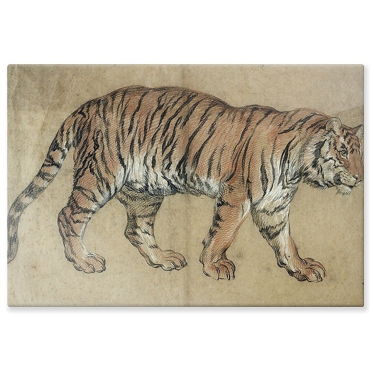 Tigre marchant vers la droite (panneaux aluminium)