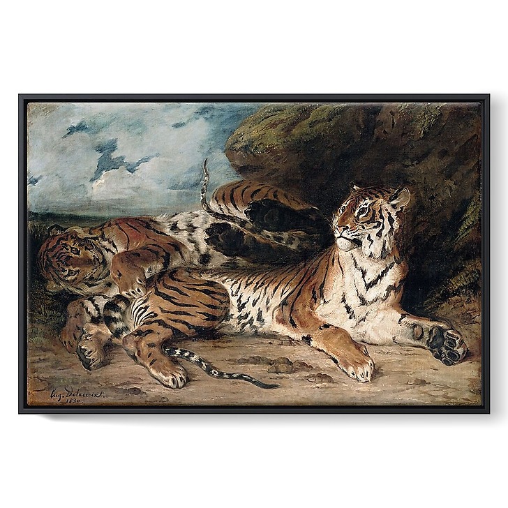Study of two tigers, also known as Young Tiger playing with his mother (framed canvas)