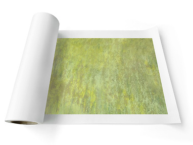 Art Prints